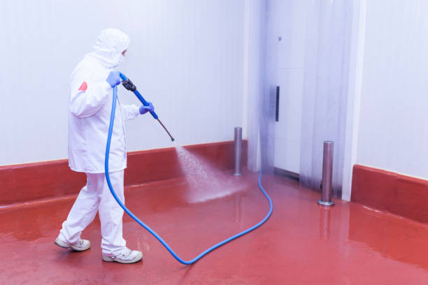 Best Graffiti Removal  in Towaco, NJ